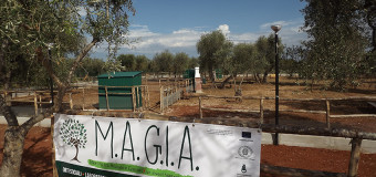IL NOSTRO PROGETTO M.A.G.I.A.