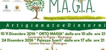 Il mercatino di Natale 2016
