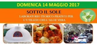 Laboratorio per l’utilizzo dell’aloe vera “Sotto il Sole”